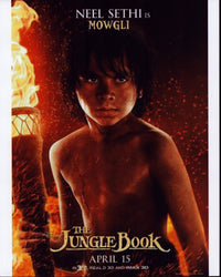 The Jungle Book Promo Poster Print featuring vibrant colors and classic characters.