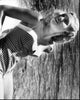 Cathy Moriarty Raging Bull Black and White Photo Print