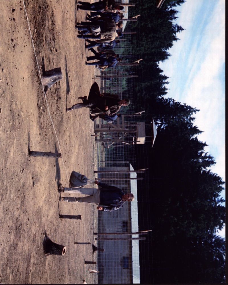 Scene From The Great Escape Photo Print - Classic Film Scene