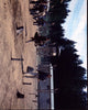 Scene From The Great Escape Photo Print - Classic Film Scene