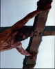 Jim Caviezel as Jesus on the Cross photo print from The Passion of the Christ.