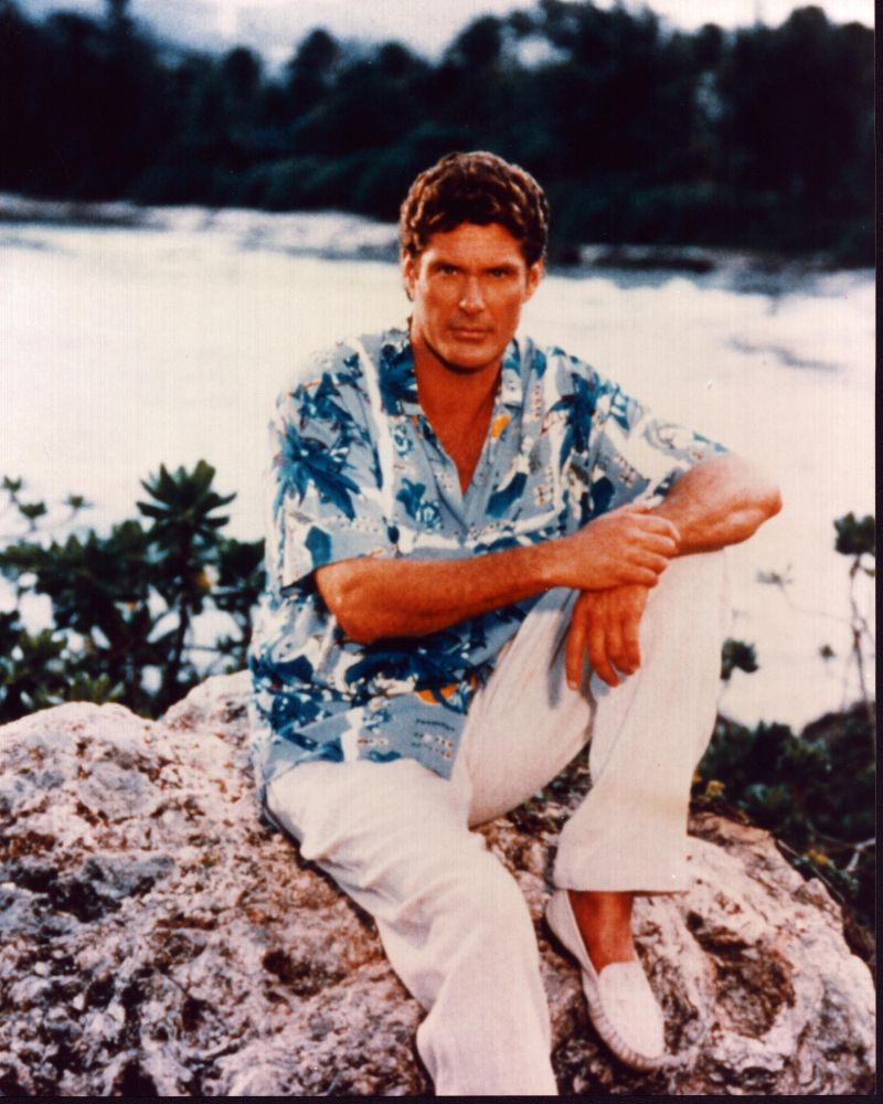 David Hasselhoff Sitting on Rocks Photo Print, 8x10