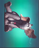 Jim Carrey and Seth Rogen in Horton Hears A Who! Photo Print