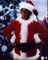 Jim Carrey as The Grinch Photo Print - How The Grinch Stole Christmas