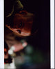 Close-up photo print of Ben Foster from the movie Contraband.