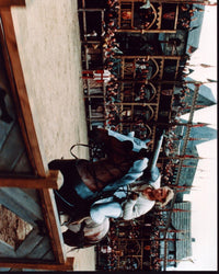 Heath Ledger Jousting in A Knight's Tale Photo Print