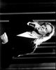 Michael Bolton Black and White Photo Print - Singing on Stage