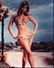 Edina Ronay Shell Bikini Photo Print from Prehistoric Women