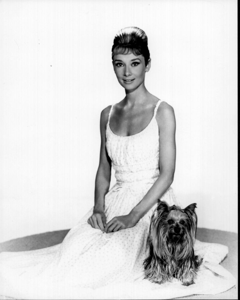 Audrey Hepburn sitting in dress with dog black and white photo print