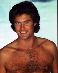 David Hasselhoff shirtless photo print, iconic pop culture art