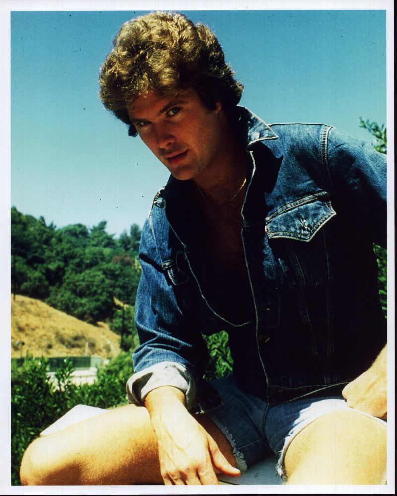David Hasselhoff posed in denim jacket photo print