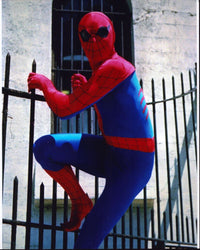 Nicholas Hammond Spider-Man Photo Print showcasing vibrant colors and dynamic pose