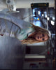 Eliza Taylor in white outfit from The 100 photo print.