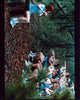 Alyson Hannigan photo print from American Pie 2, vibrant colors, high quality.