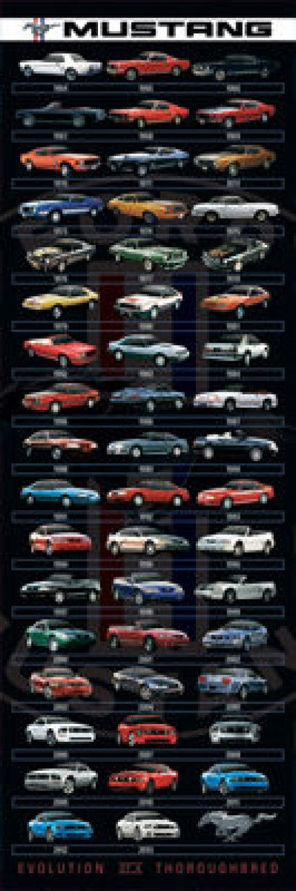 Ford Mustang Evolution Door Poster Print - 12x36