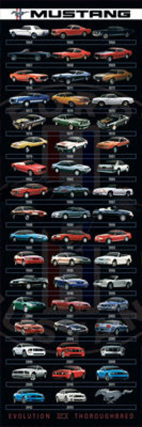 Ford Mustang Evolution Door Poster Print - 12x36