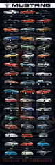 Ford Mustang Evolution Door Poster Print - 12x36