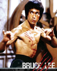 Bruce Lee Fight Poster Print - 16x20 Rolled Art