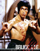 Bruce Lee Fight Poster Print - 16x20 Rolled Art