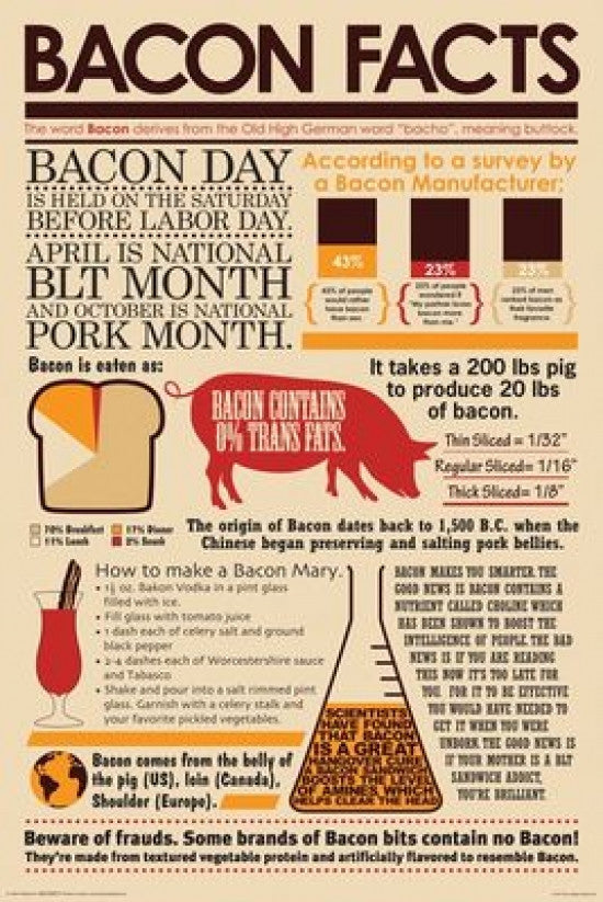 Bacon Facts Poster Print - Fun Culinary Decor