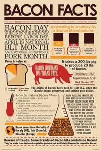 Bacon Facts Poster Print - Fun Culinary Decor