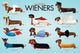 Wonderful Wieners Group Poster Print - 22x34 Rolled Poster