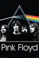 Pink Floyd Dark Side Group Poster Print 22x34