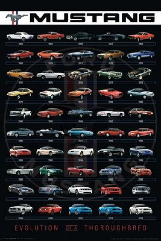 Ford Mustang Evolution Poster showcasing the iconic muscle car design.