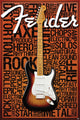 Fender - Words Rolled Poster Print (22x34) | Posterazzi