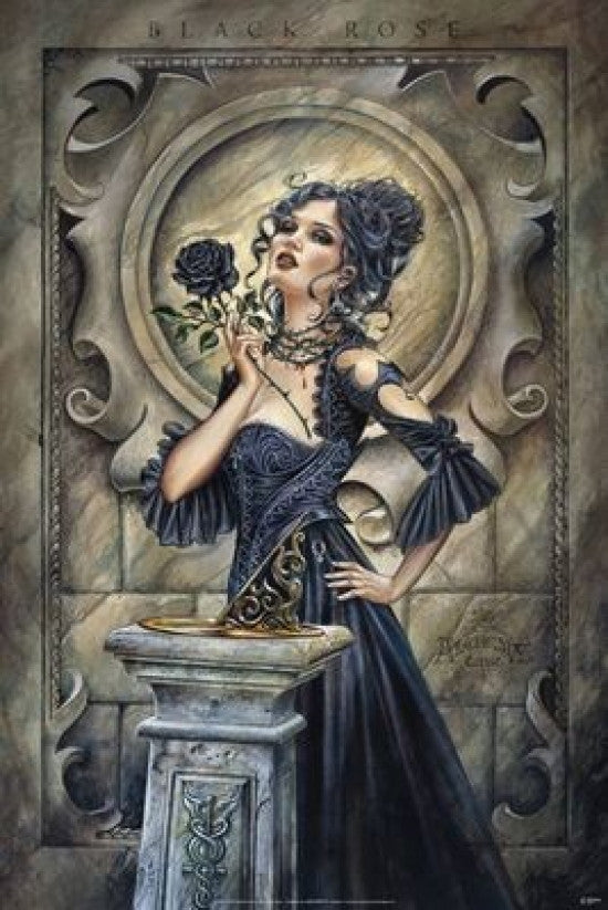 Alchemy - Black Rose Poster Print (22x34)