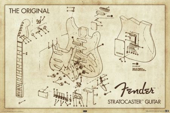 Fender Stratocaster Diagram Rolled Poster Print 24x36