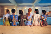 Pink Floyd Back Art Poster Print 24x36