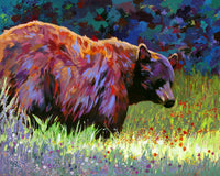 Wildflowers II Poster Print by Bob Coonts showcasing vibrant floral design.