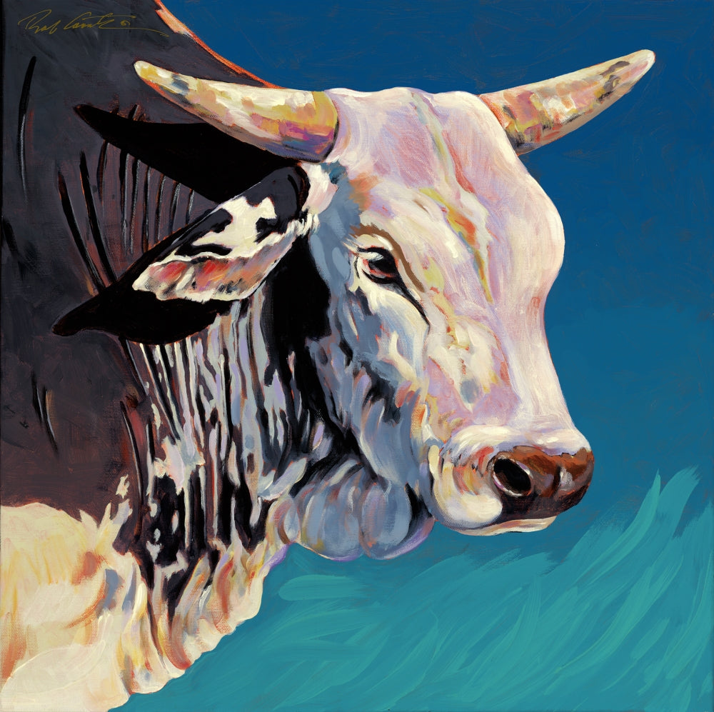 Blue Brahma Poster Print by Bob Coonts on premium paper