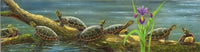 http://c328301.r1.cf1.rackcdn.com/PAICD030.jpg