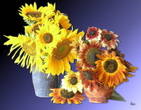 Sunflower 16 Poster Print by Greg Murphy showcasing vibrant sunflowers.