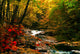 Mountain Stream Poster Print by Jerome Andrews, showcasing serene nature.