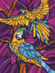 Colorful Parrot Art Print by Jeff Maraska, 18x24 inches.