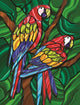 Vibrant Parrot B Poster Print by Jeff Maraska featuring colorful birds.
