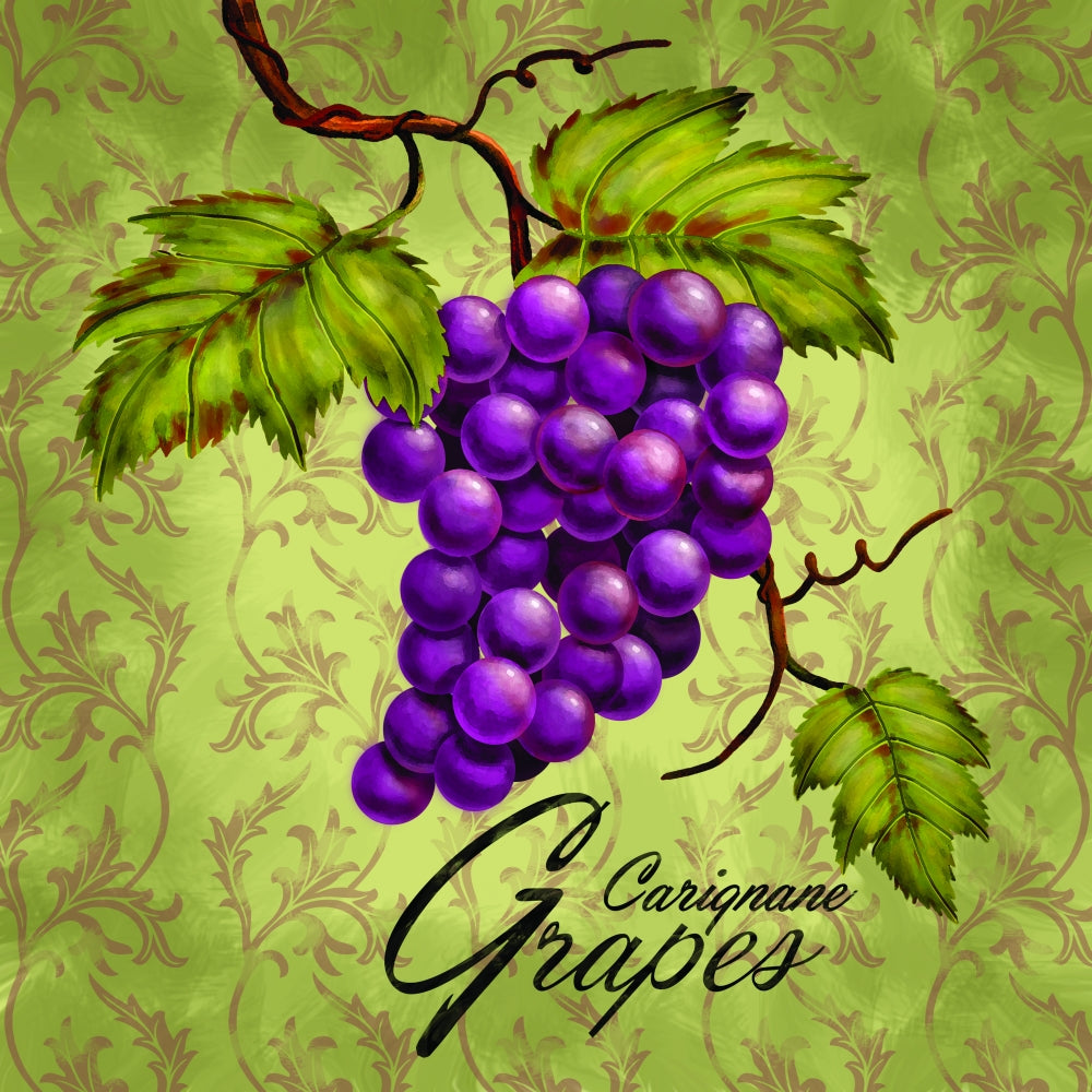 Carignane Grapes Art Print by Jeff Maraska, 12x12 size.