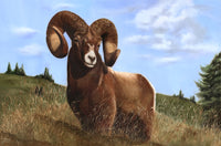 Vibrant Ram Poster Print showcasing colorful artwork.