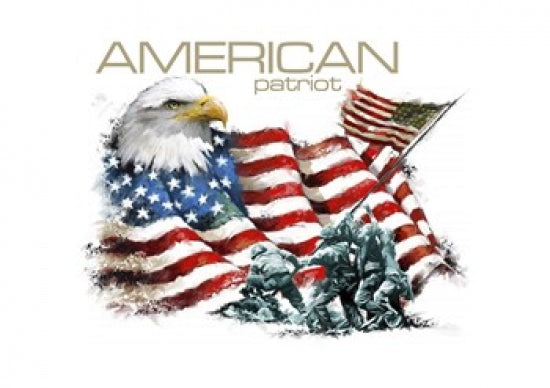 American Patriot Poster Print by The Macneil Studio, 20 x 16 inches