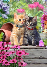 Kittens Poster Print featuring playful kittens from The Macneil Studio.