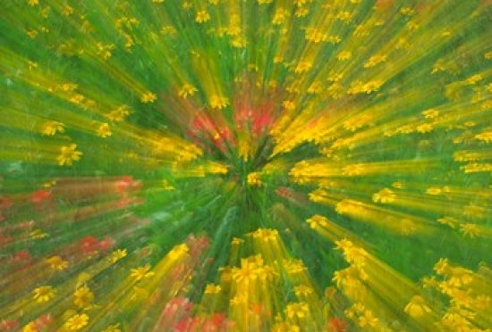 Garden Abstract Poster Print by Jaynes Gallery - Colorful abstract art.