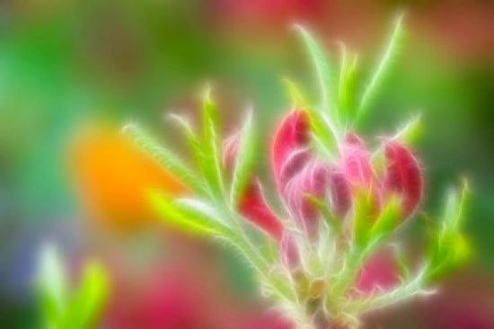Abstract Close-Up Art Print by Jaynes Gallery