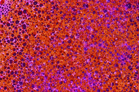 Foamy Texture Art Print by Lisa Engelbrecht showcasing vibrant colors and unique textures.