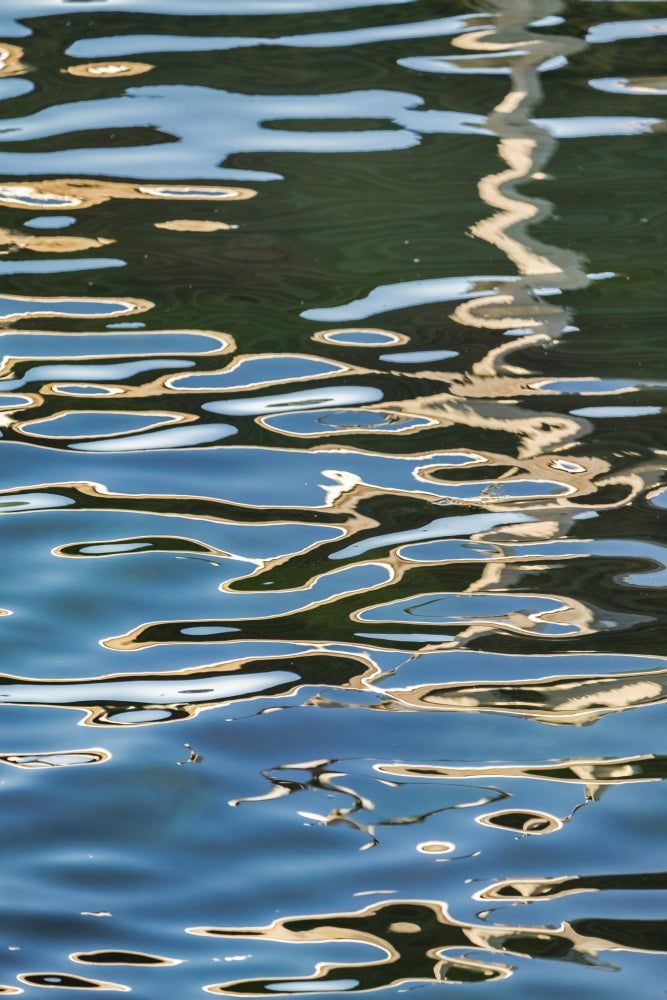Rippled Water Reflection Poster Print by Lisa Engelbrecht