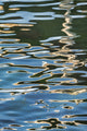 Rippled Water Reflection Poster Print by Lisa Engelbrecht