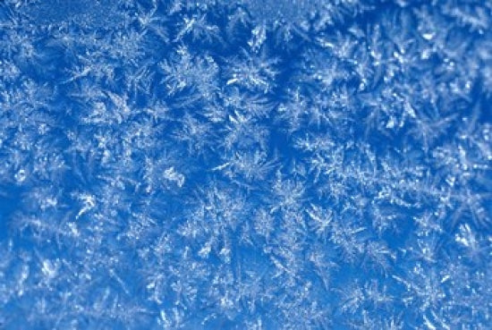 Pattern of Winter Frost on Glass Poster Print by Mark Gibson
