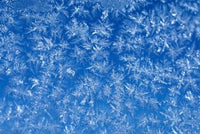 Pattern of Winter Frost on Glass Poster Print by Mark Gibson